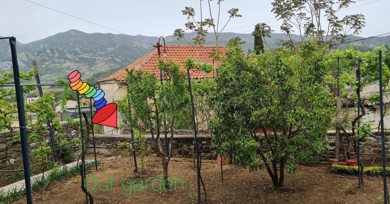 Garden Guest House Permet Exterior photo