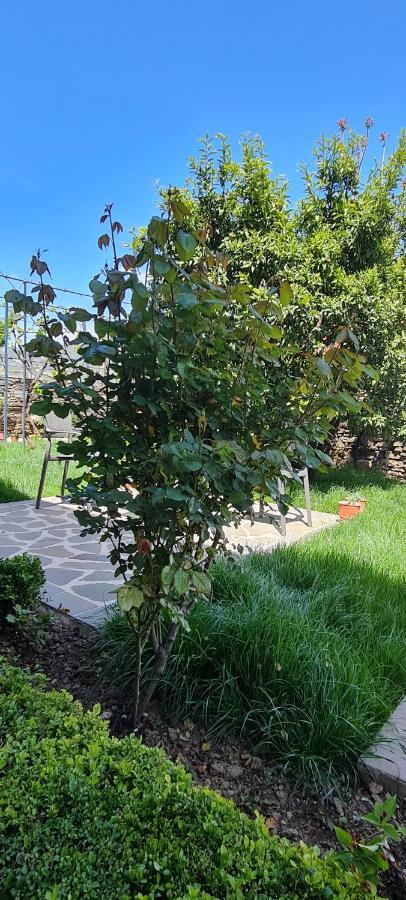 Garden Guest House Permet Exterior photo
