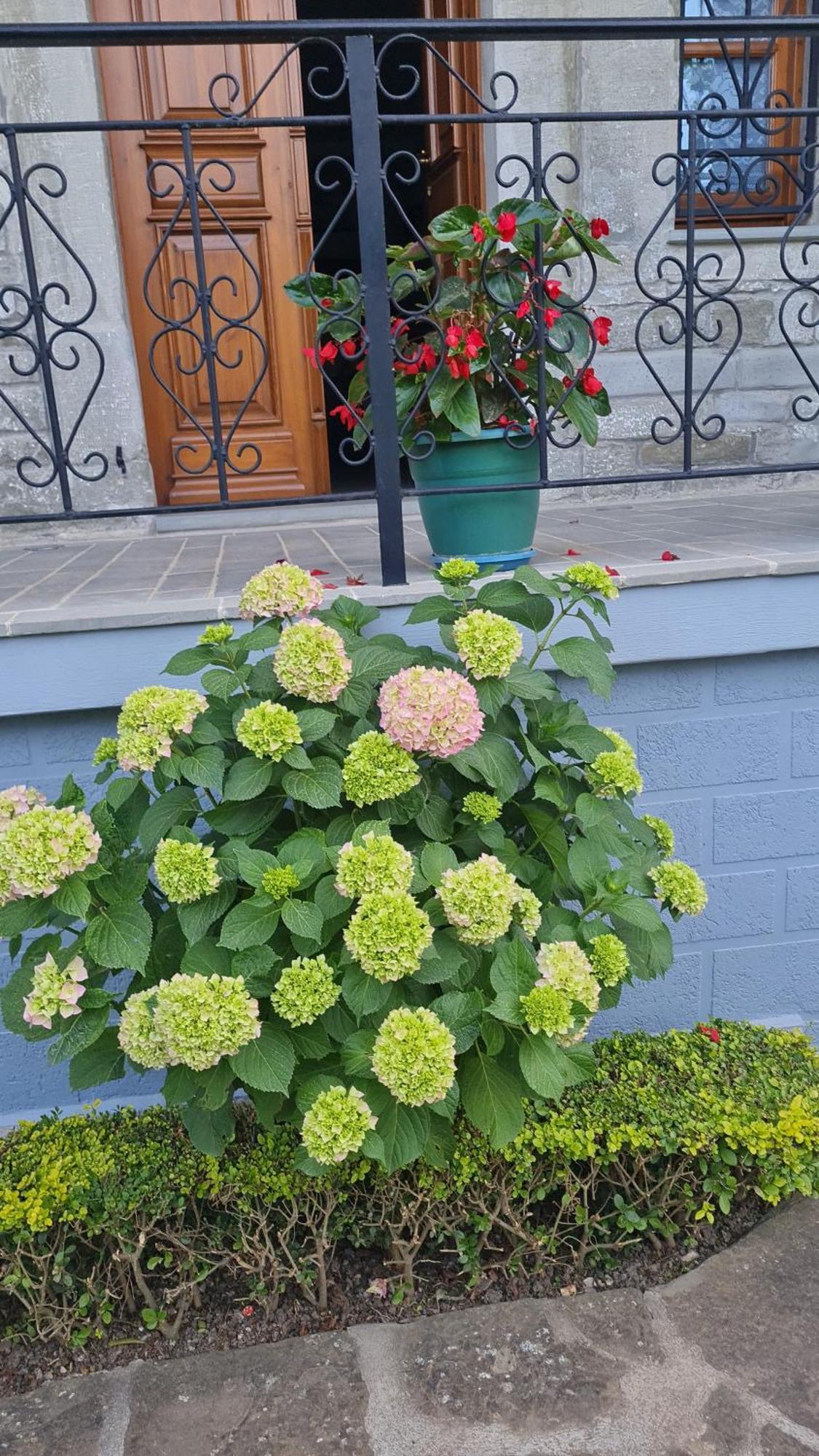 Garden Guest House Permet Exterior photo