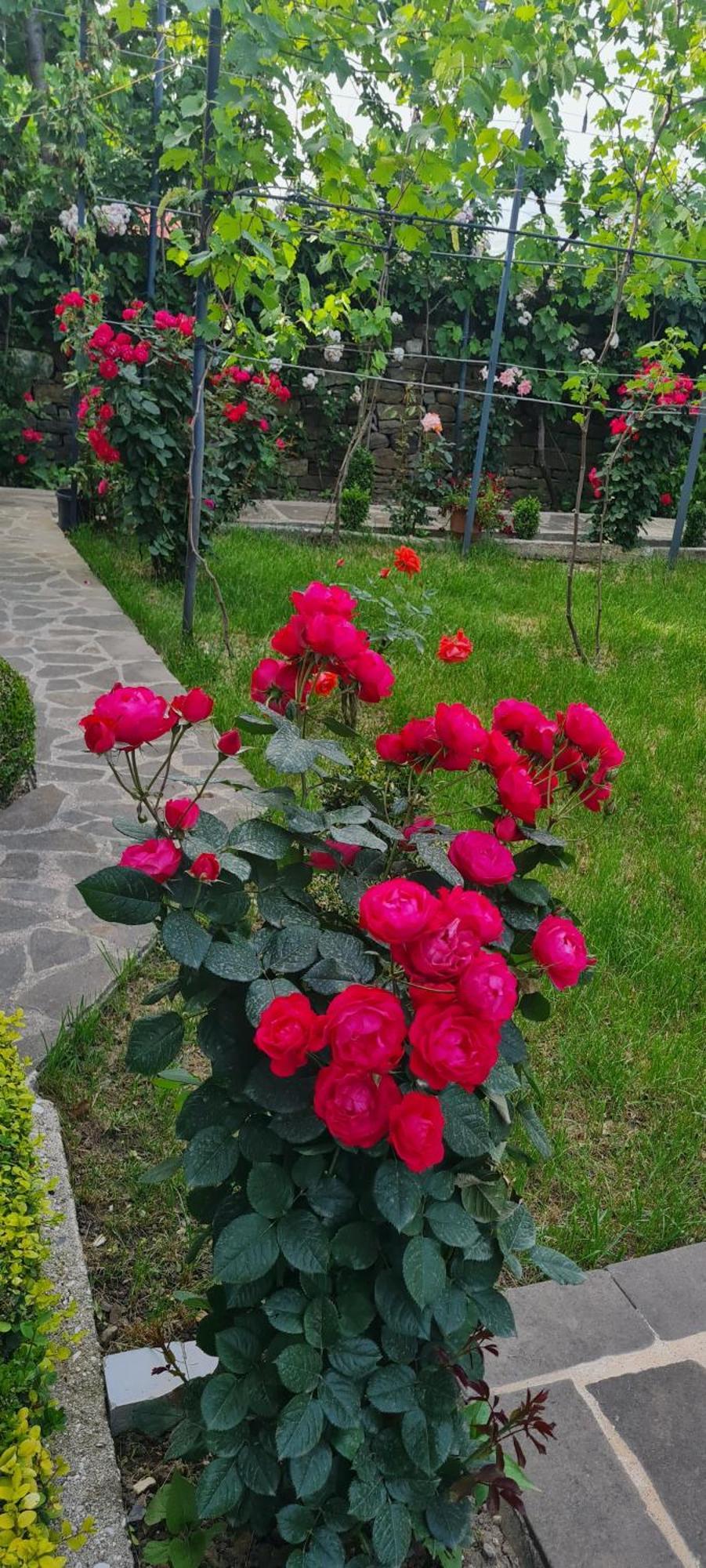 Garden Guest House Permet Exterior photo